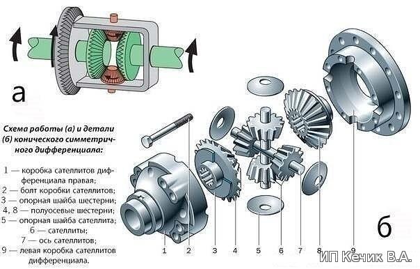 Дифференциал. Устройство и виды.
