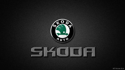 Автозапчасти для Skoda