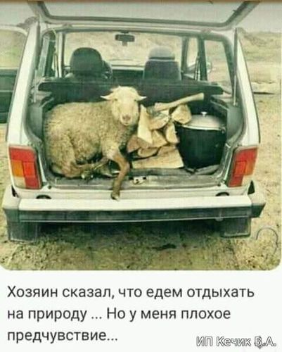 Хозяин сказал что едем отдыхать на природу