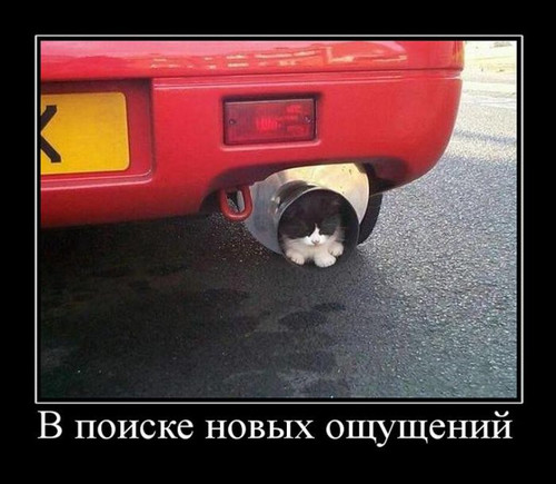 В поисках новых ощущений