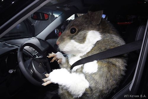 Буду 1 января, ждите!