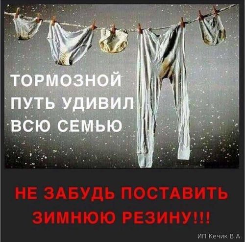 Тормозной путь удивил всю семью