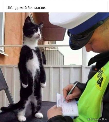 Шел домой без маски